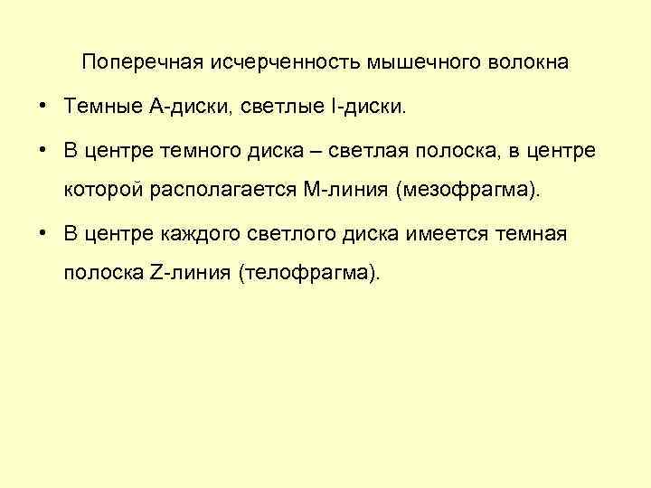 Поперечная исчерченность мышечного волокна • Темные А-диски, светлые I-диски. • В центре темного диска