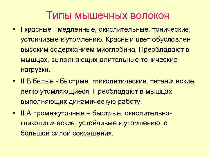 Типы мышечных волокон • I красные - медленные, окислительные, тонические, устойчивые к утомлению. Красный