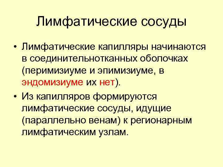 Лимфатические сосуды • Лимфатические капилляры начинаются в соединительнотканных оболочках (перимизиуме и эпимизиуме, в эндомизиуме