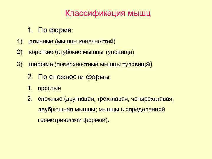 Классификация мышц 1. По форме: 1) длинные (мышцы конечностей) 2) короткие (глубокие мышцы туловища)