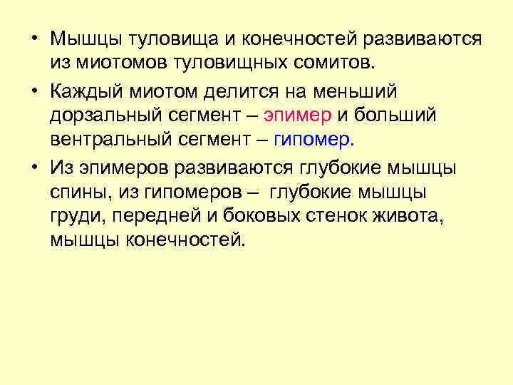  • Мышцы туловища и конечностей развиваются из миотомов туловищных сомитов. • Каждый миотом