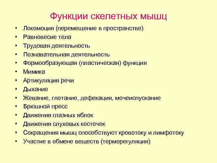 Функции скелетных мышц • • • • Локомоция (перемещение в пространстве) Равновесие тела Трудовая