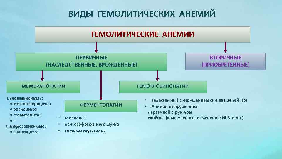 Гемолитическая анемия презентация по терапии