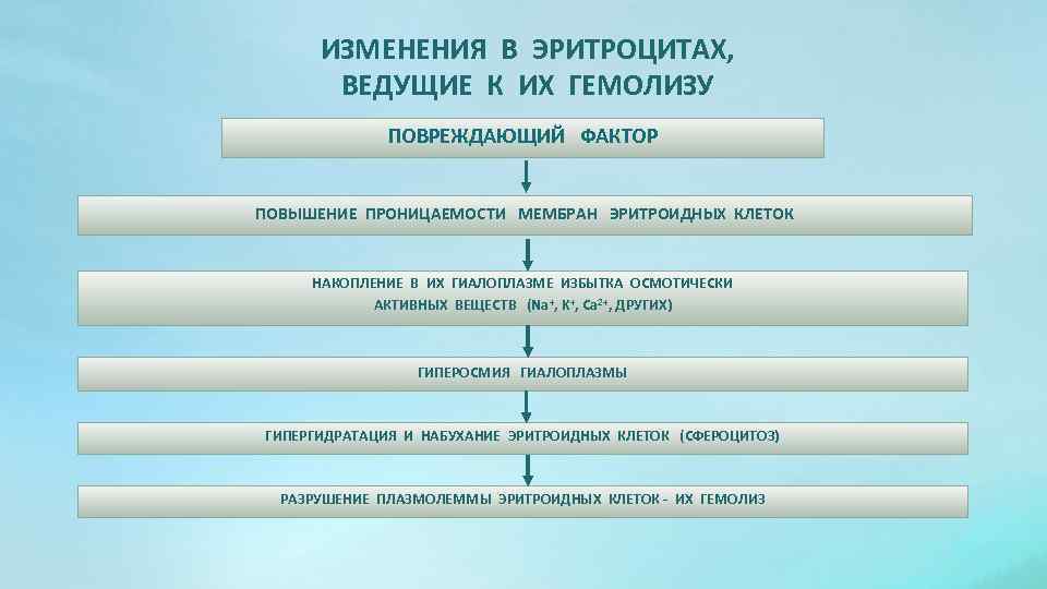 ИЗМЕНЕНИЯ В ЭРИТРОЦИТАХ, ВЕДУЩИЕ К ИХ ГЕМОЛИЗУ ПОВРЕЖДАЮЩИЙ ФАКТОР ПОВЫШЕНИЕ ПРОНИЦАЕМОСТИ МЕМБРАН ЭРИТРОИДНЫХ КЛЕТОК