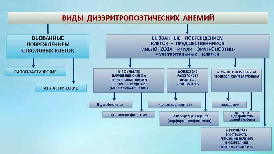 ВИДЫ ДИЗЭРИТРОПОЭТИЧЕСКИХ АНЕМИЙ ВЫЗВАННЫЕ ПОВРЕЖДЕНИЕМ СТВОЛОВЫХ КЛЕТОК ГИПОПЛАСТИЧЕСКИЕ АПЛАСТИЧЕСКИЕ ВЫЗВАННЫЕ ПОВРЕЖДЕНИЕМ КЛЕТОК – ПРЕДШЕСТВЕННИКОВ