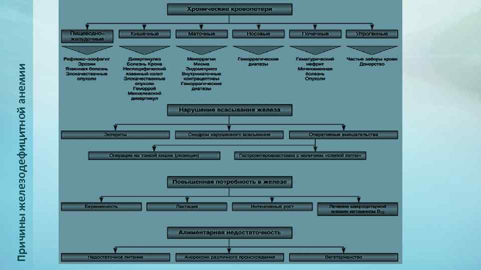 Причины железодефицитной анемии 
