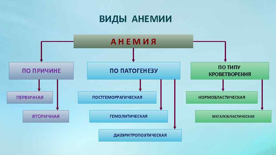 Индивидуальный проект анемия