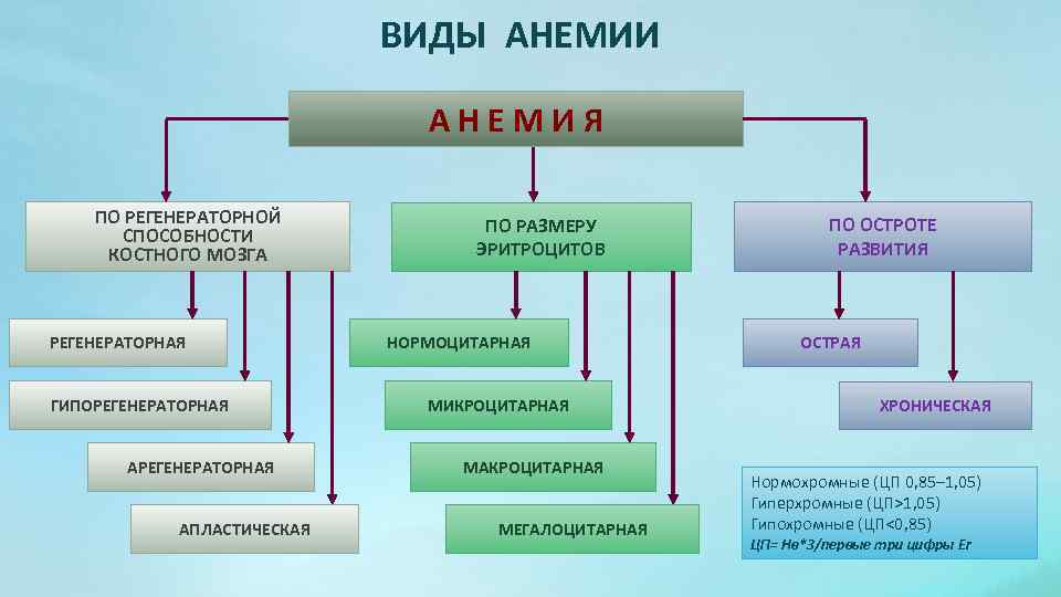 Виды анемии. Виды анемий. Основные формы анемий. Анемия бывает. Виды аномии.