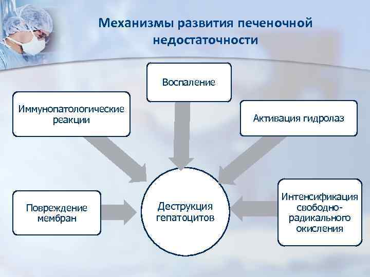 Механизмы развития печеночной недостаточности Воспаление Иммунопатологические реакции Повреждение мембран Активация гидролаз Деструкция гепатоцитов Интенсификация