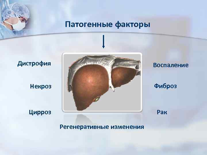 Патогенные факторы Дистрофия Воспаление Фиброз Некроз Цирроз Рак Регенеративные изменения 