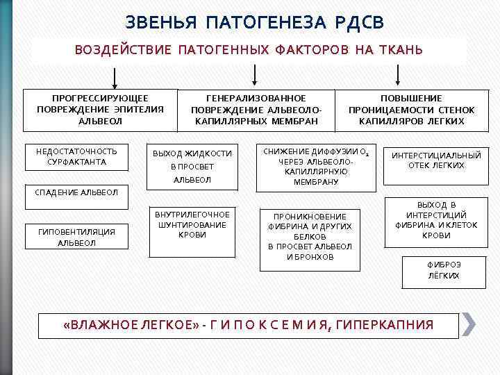  ЗВЕНЬЯ ПАТОГЕНЕЗА РДСВ ВОЗДЕЙСТВИЕ ПАТОГЕННЫХ ФАКТОРОВ НА ТКАНЬ ПРОГРЕССИРУЮЩЕЕ ПОВРЕЖДЕНИЕ ЭПИТЕЛИЯ АЛЬВЕОЛ НЕДОСТАТОЧНОСТЬ