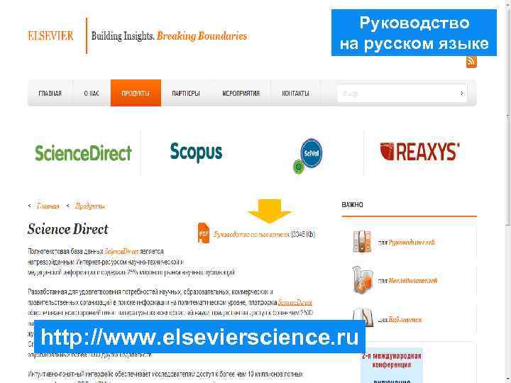 Руководство на русском языке http: //www. elsevierscience. ru 