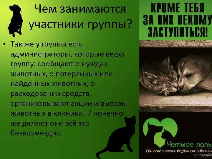 Чем занимаются участники группы? • Так же у группы есть администраторы, которые ведут группу: