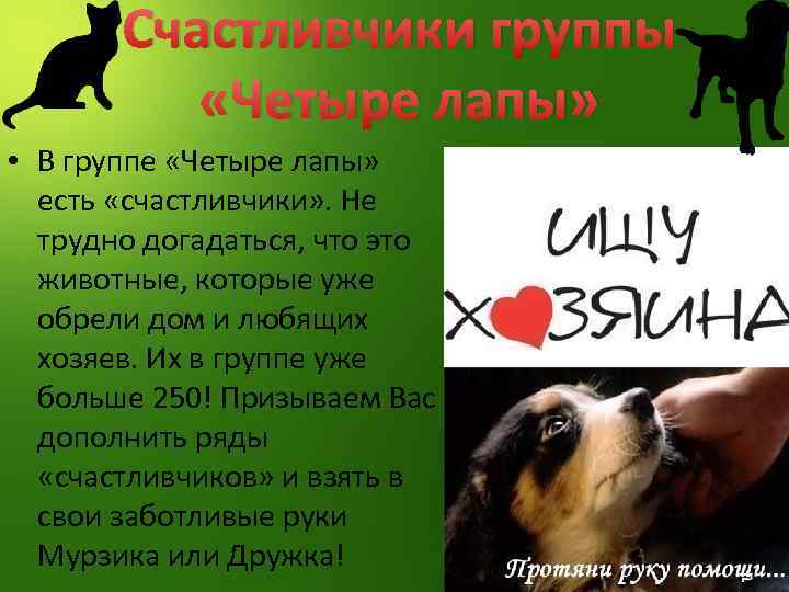 Счастливчики группы «Четыре лапы» • В группе «Четыре лапы» есть «счастливчики» . Не трудно