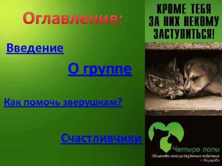 Оглавление: Введение О группе Как помочь зверушкам? Счастливчики 