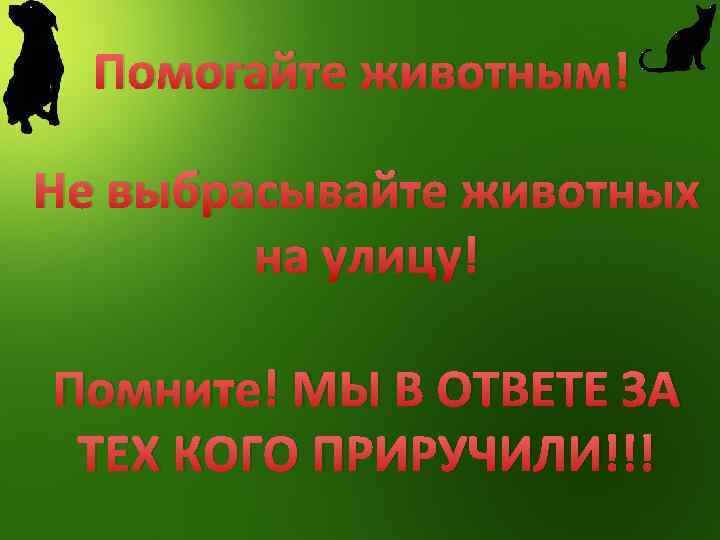 Помогайте животным! Не выбрасывайте животных на улицу! Помните! МЫ В ОТВЕТЕ ЗА ТЕХ КОГО