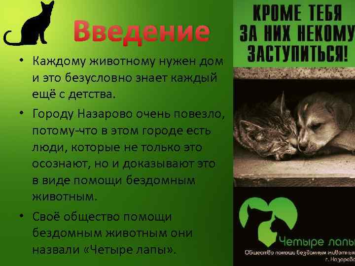 Введение • Каждому животному нужен дом и это безусловно знает каждый ещё с детства.