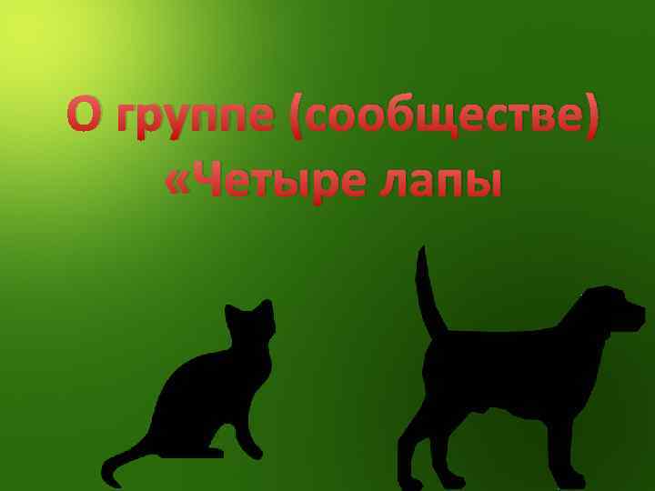 О группе (сообществе) «Четыре лапы 