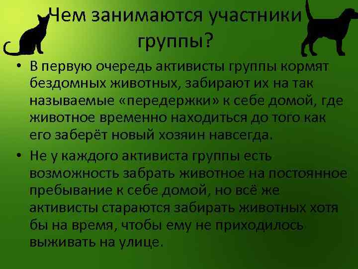 Чем занимаются участники группы? • В первую очередь активисты группы кормят бездомных животных, забирают