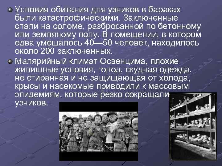 Условия обитания для узников в бараках были катастрофическими. Заключенные спали на соломе, разбросанной по