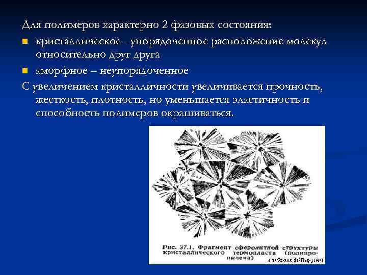 Для полимеров характерно 2 фазовых состояния: n кристаллическое - упорядоченное расположение молекул относительно друга