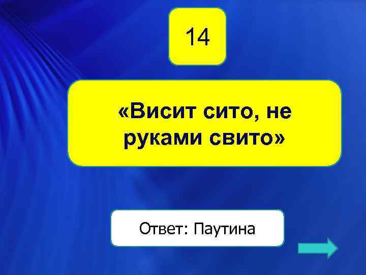14 «Висит сито, не руками свито» Ответ: Паутина 
