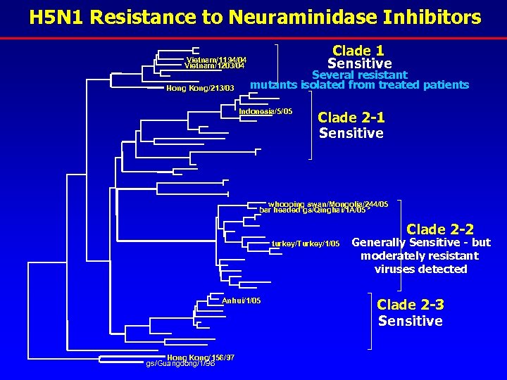 H 5 N 1 Resistance to Neuraminidase Inhibitors Vietnam/1194/04 Vietnam/1203/04 Hong Kong/213/03 Clade 1