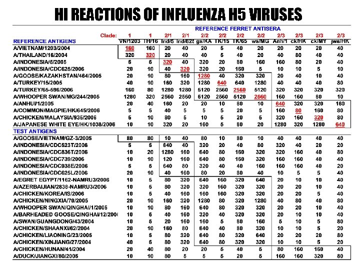 HI REACTIONS OF INFLUENZA H 5 VIRUSES 