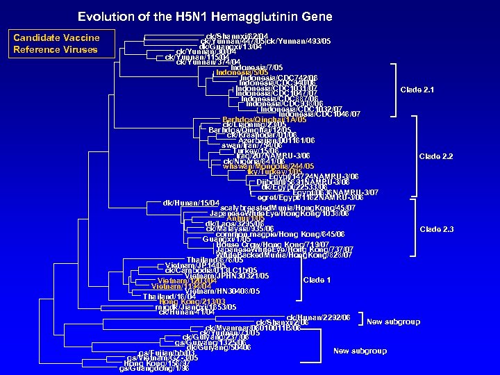 Evolution of the H 5 N 1 Hemagglutinin Gene Candidate Vaccine Reference Viruses ck/Shannxi/62/04