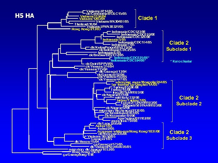 H 5 HA Vietnam/JP 14/05 ck/Cambodia/013 LC 1 b/05 Vietnam/1194/04 Vietnam/1203/04 Vietnam/HN 30408/05 Thailand/16/04
