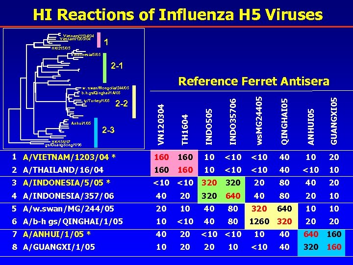 HI Reactions of Influenza H 5 Viruses Vietnam/1194/04 Vietnam/1203/04 1 HK/213/03 Indonesia/5/05 2 -1