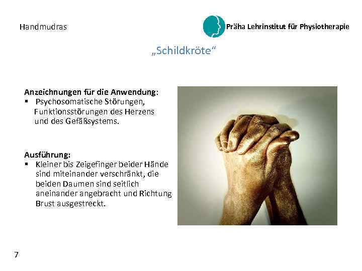 Handmudras Präha Lehrinstitut für Physiotherapie „Schildkröte“ Anzeichnungen für die Anwendung: § Psychosomatische Störungen, Funktionsstörungen