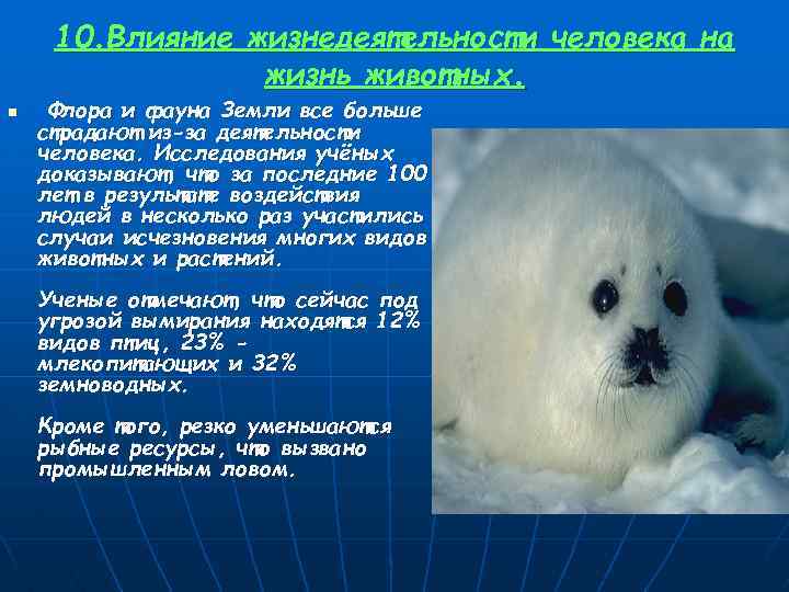 10. Влияние жизнедеятельности человека на жизнь животных. n Флора и фауна Земли все больше