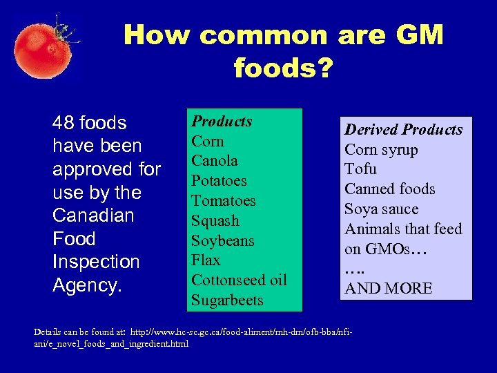 How common are GM foods? 48 foods have been approved for use by the