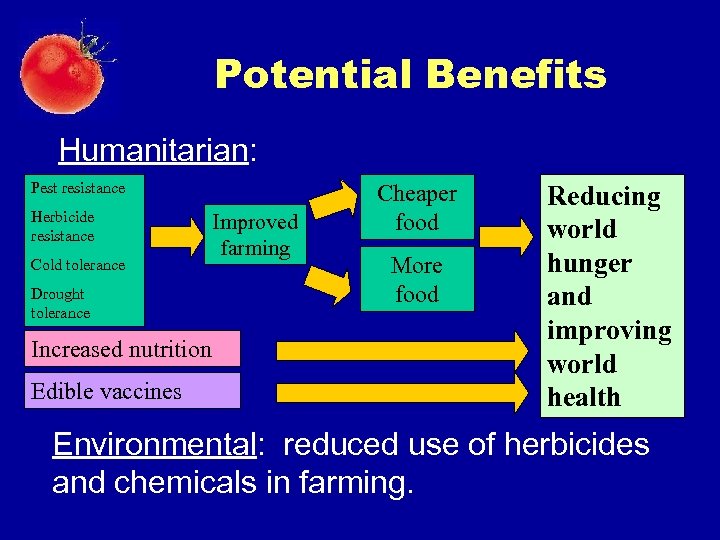 Potential Benefits Humanitarian: Pest resistance Herbicide resistance Cold tolerance Drought tolerance Increased nutrition Edible