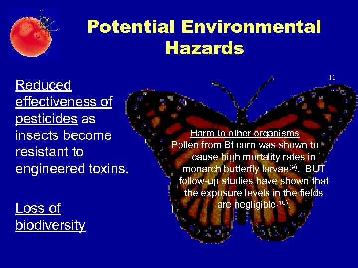 Potential Environmental Hazards Reduced effectiveness of pesticides as insects become resistant to engineered toxins.