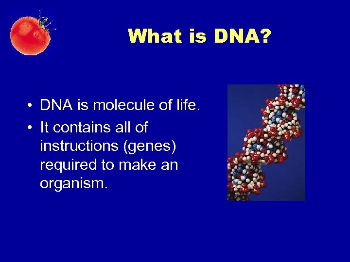 What is DNA? 3 • DNA is molecule of life. • It contains all