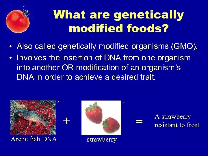 What are genetically modified foods? • Also called genetically modified organisms (GMO). • Involves