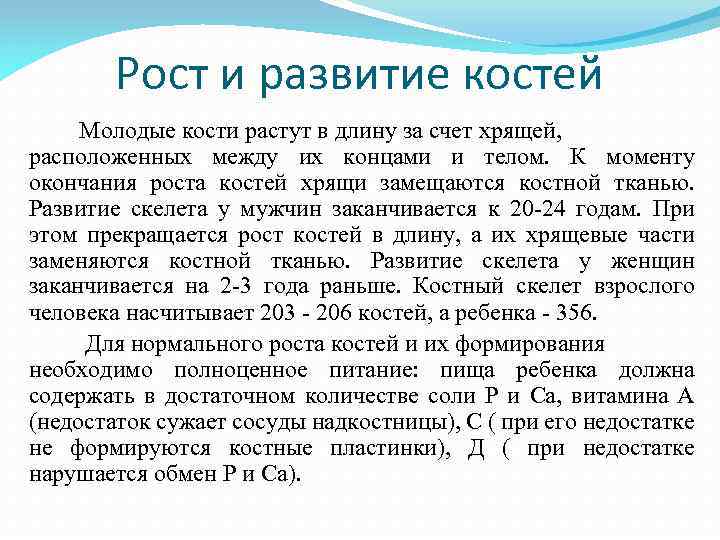 За счет чего растут кости. Развитие костей. Развитие и рост кости. Развитие костей кратко. Рост и развитие костей человека.