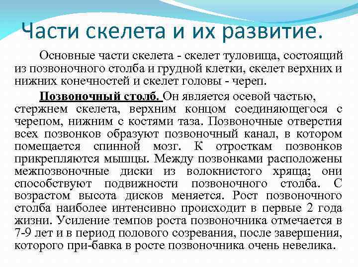 Части скелета и их развитие. Основные части скелета скелет туловища, состоящий из позвоночного столба