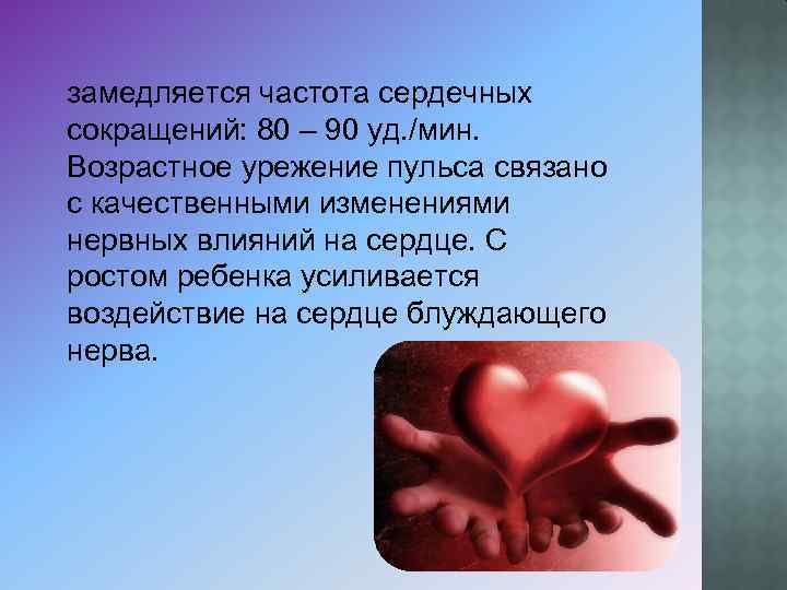  замедляется частота сердечных сокращений: 80 – 90 уд. /мин. Возрастное урежение пульса связано