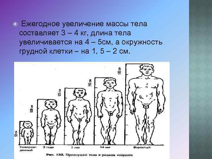 Тело увеличивается. Рост окружность грудной клетки масса тела. Показатели длины тела массы окружности грудной клетки называются. Рост масса тела окружность грудной клетки взрослого. Атланты рост и вес.