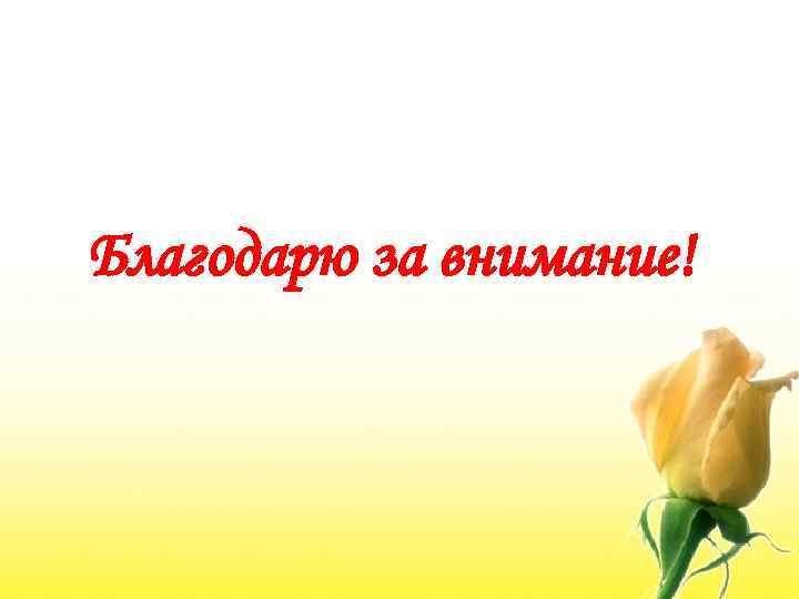 Благодарю за внимание! 