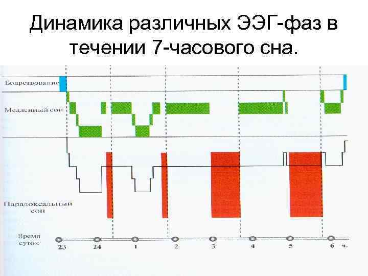 Сигнальная система картинки