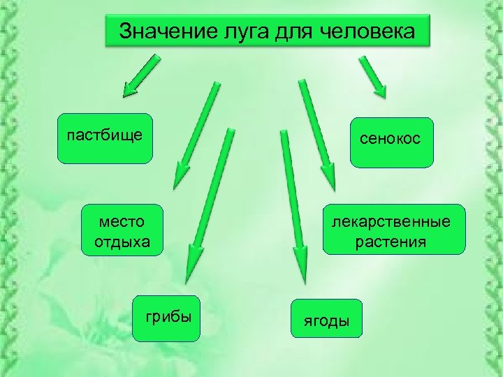 4 в схему что значит