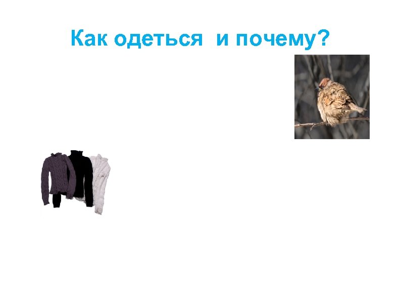 Как одеться и почему? 