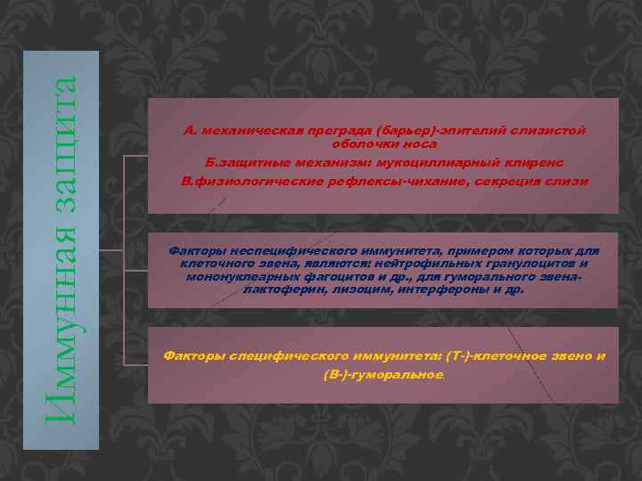 Иммунная защита А. механическая преграда (барьер)-эпителий слизистой оболочки носа Б. защитные механизм: мукоциллиарный клиренс