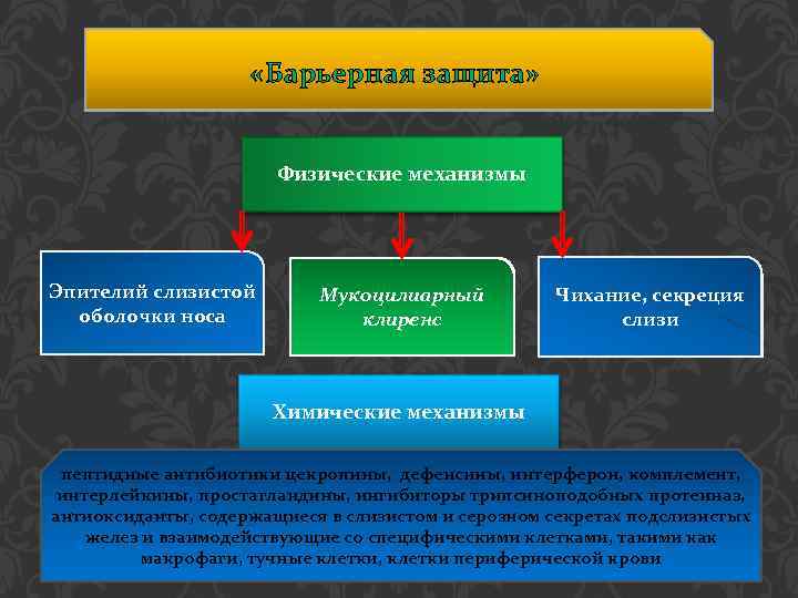  «Барьерная защита» Физические механизмы Эпителий слизистой оболочки носа Мукоцилиарный клиренс Чихание, секреция слизи