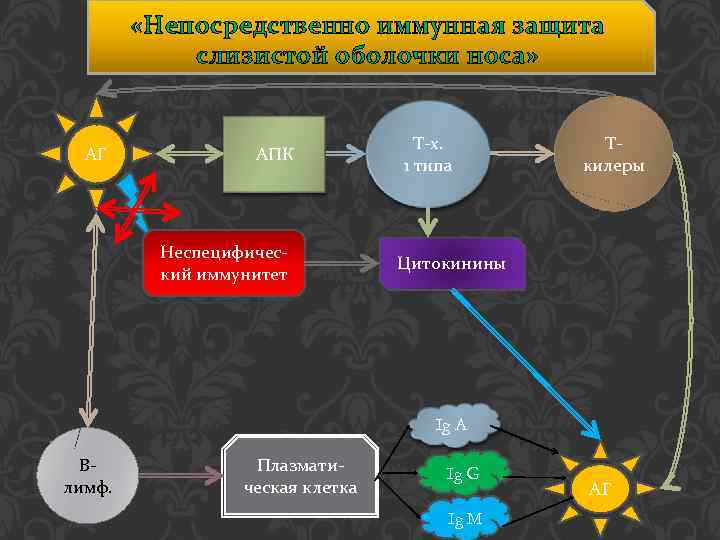  «Непосредственно иммунная защита слизистой оболочки носа» АГ АПК Неспецифический иммунитет Т-х. 1 типа