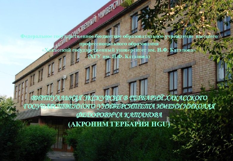  Федеральное государственное бюджетное образовательное учреждение высшего профессионального образования «Хакасский государственный университет им. Н.
